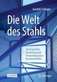 Die Welt des Stahls - Joachim Schlegel - E-Book