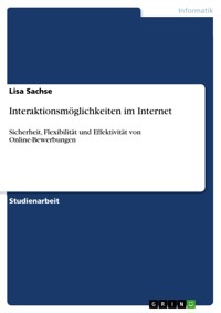 Interaktionsmöglichkeiten im Internet - Lisa Sachse - E-Book
