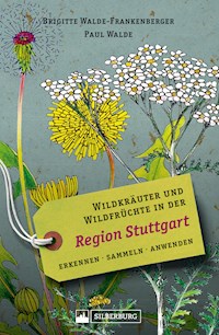 Wildkräuter und Wildfrüchte in der Region Stuttgart. Erkennen, sammeln, anwenden - Brigitte Walde-Frankenberger - E-Book