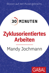 30 Minuten Zyklusorientiertes Arbeiten - Mandy Jochmann - E-Book