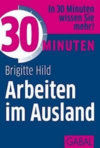 30 Minuten Arbeiten im Ausland - Brigitte Hild - E-Book