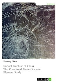 Impact Fracture of Glass. The Combined Finite-Discrete Element Study - Xudong Chen - E-Book