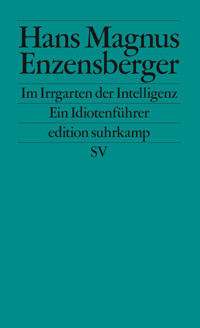Im Irrgarten der Intelligenz - Hans Magnus Enzensberger - E-Book
