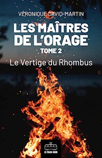 Les Maîtres de l'orage - Tome 2 - Véronique David-Martin - E-Book