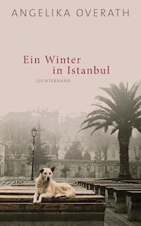 Ein Winter in Istanbul - Angelika Overath - E-Book