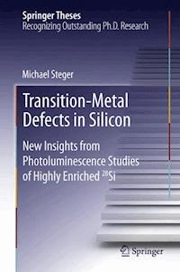 Transition-Metal Defects in Silicon - Michael Steger - E-Book