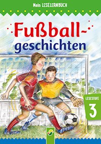 Fußballgeschichten - Anke Breitenborn - E-Book
