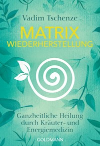 Matrix Wiederherstellung - Vadim Tschenze - E-Book