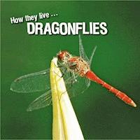 How they live... Dragonflies - Ivan Esenko - E-Book