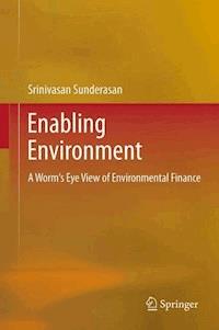 Enabling Environment - Srinivasan Sunderasan - E-Book