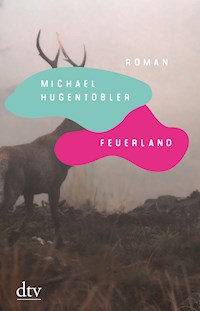Feuerland - Michael Hugentobler - E-Book