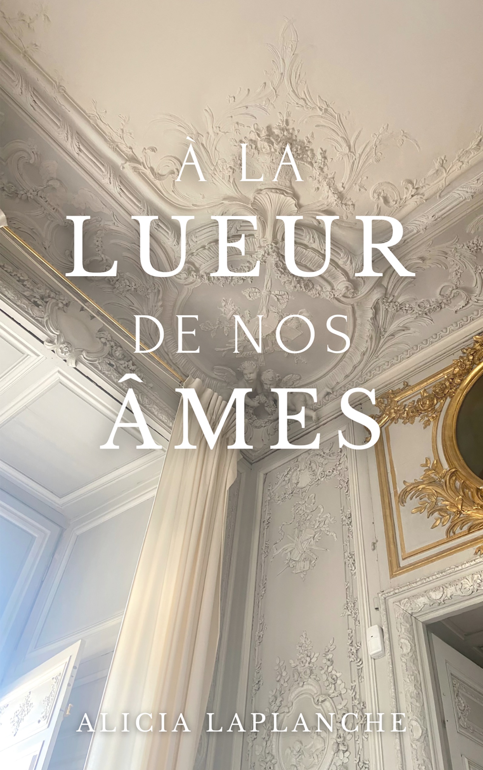 À la lueur de nos âmes - Alicia Laplanche - E-Book
