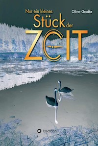 Nur ein kleines Stück der Zeit - Oliver Grudke - E-Book