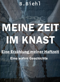 Meine Zeit im Knast - Eine Erzählung meiner Haftzeit - Björn Biehl - E-Book