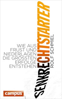 Senkrechtstarter - Rolf Schmiel - E-Book