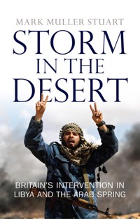 Storm in the Desert - Mark Muller Stuart - E-Book