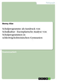 Schulprogramme als Ausdruck von Schulkultur - Exemplarische Analyse von Schulprogrammen in schleswig-holsteinischen Gymnasien - Benny Alze - E-Book