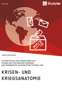 Krisen- und Kriegsanatomie im 21. Jahrhundert - Christian Rucker - E-Book