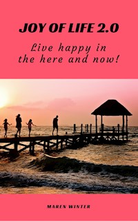Joy of life 2.0 - Maren Winter - E-Book
