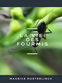 La Vie des Fourmis - Maurice Maeterlinck - E-Book