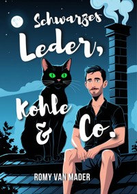 Schwarzes Leder, Kohle & Co. - Romy van Mader - kostenlos E-Book
