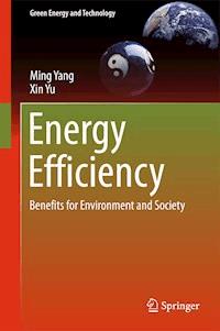 Energy Efficiency - Ming Yang - E-Book