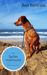 Abenteuer auf Sylt - Ben Bertram - E-Book