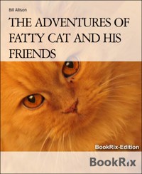 THE ADVENTURES OF FATTY CAT AND HIS FRIENDS - Bill Allison - E-Book
