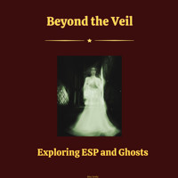 Beyond the Veil - Miss Smilla - Hörbuch
