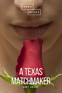 A Texas Matchmaker - Andy Adams - E-Book