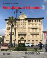 Meine Reise zur Erkenntnis - Manuela Andersen - E-Book