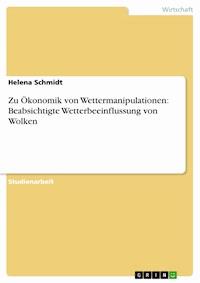 Zu Ökonomik von Wettermanipulationen: Beabsichtigte Wetterbeeinflussung von Wolken - Helena Schmidt - E-Book