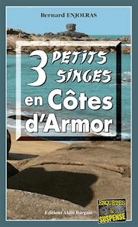 3 petits singes en Côte d'Armor - Bernard Enjolras - E-Book