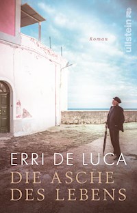 Die Asche des Lebens - Erri De Luca - E-Book