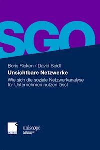 Unsichtbare Netzwerke - Boris Ricken - E-Book