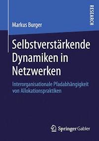 Selbstverstärkende Dynamiken in Netzwerken - Markus Burger - E-Book