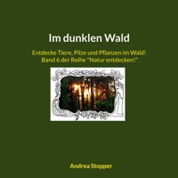Im dunklen Wald - Andrea Stopper - E-Book