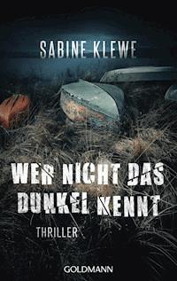 Wer nicht das Dunkel kennt - Sabine Klewe - E-Book