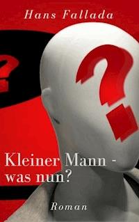 Kleiner Mann - was nun? - Hans Fallada - E-Book