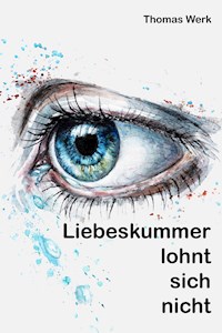 Liebeskummer lohnt sich nicht - Thomas Werk - E-Book