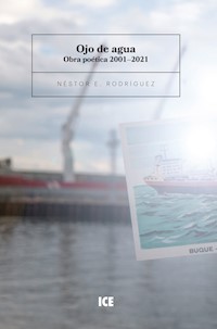 Ojo de agua - Néstor Rodríguez - E-Book