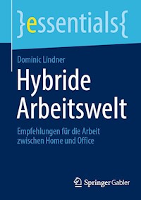 Hybride Arbeitswelt - Dominic Lindner - E-Book