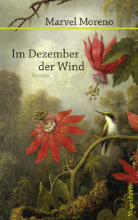 Im Dezember der Wind - Marvel Moreno - E-Book