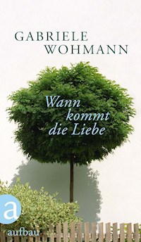 Wann kommt die Liebe - Gabriele Wohmann - E-Book