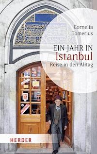 Ein Jahr in Istanbul - Cornelia Tomerius - E-Book