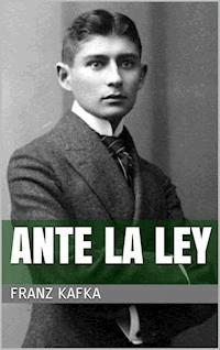 Ante la ley - Franz  kafka - E-Book
