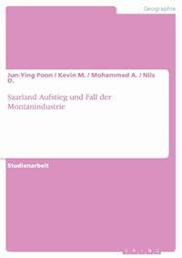 Saarland. Aufstieg und Fall der Montanindustrie - Jun-Ying Poon - E-Book