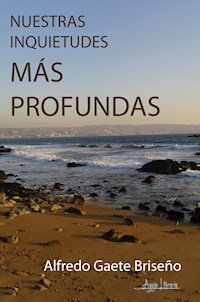 Nuestras Inquietudes más Profundas - Alfredo Gaete Briseño - E-Book