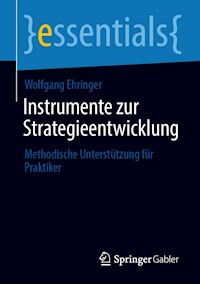 Instrumente zur Strategieentwicklung - Wolfgang Ehringer - E-Book