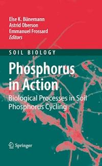 Phosphorus in Action -  - E-Book
